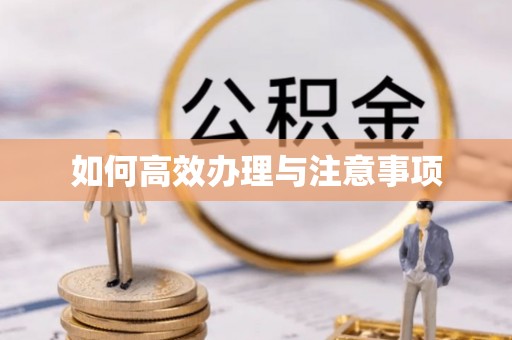 东至如何高效办理与注意事项