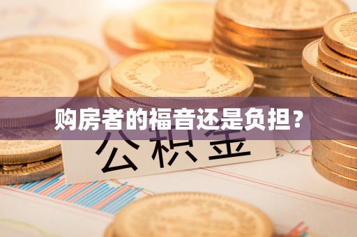 东至购房者的福音还是负担？
