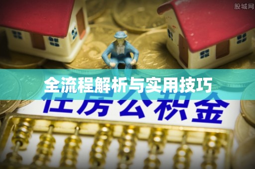东至全流程解析与实用技巧