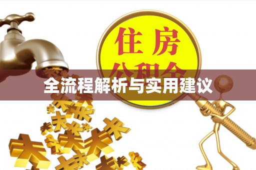 东至全流程解析与实用建议