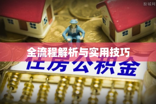 东至全流程解析与实用技巧
