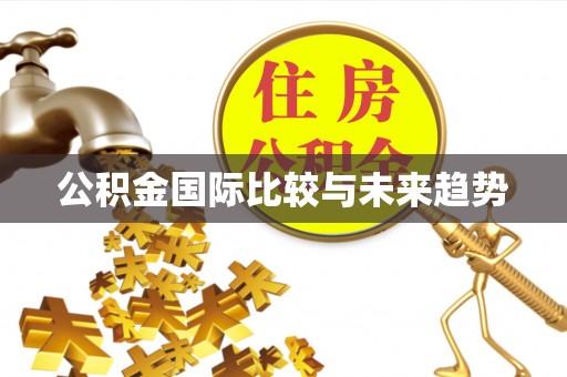 东至公积金国际比较与未来趋势