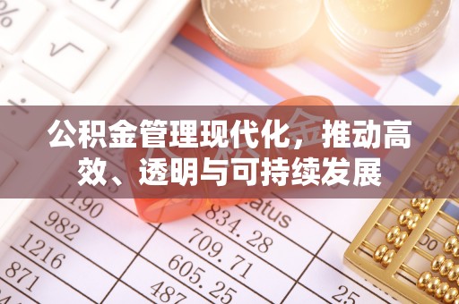 东至公积金管理现代化，推动高效、透明与可持续发展