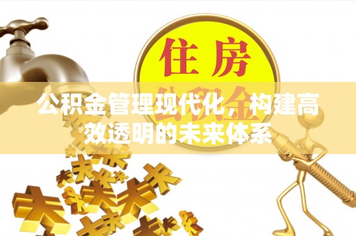 东至公积金管理现代化，构建高效透明的未来体系