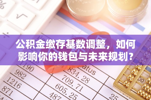 东至公积金缴存基数调整，如何影响你的钱包与未来规划？