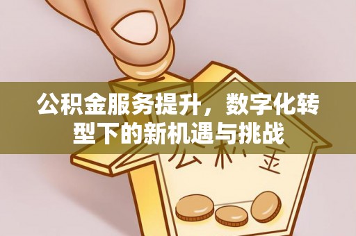 东至公积金服务提升，数字化转型下的新机遇与挑战