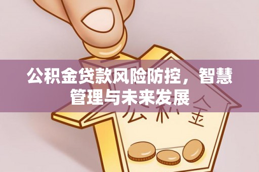 东至公积金贷款风险防控，智慧管理与未来发展