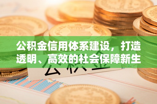 东至公积金信用体系建设，打造透明、高效的社会保障新生态