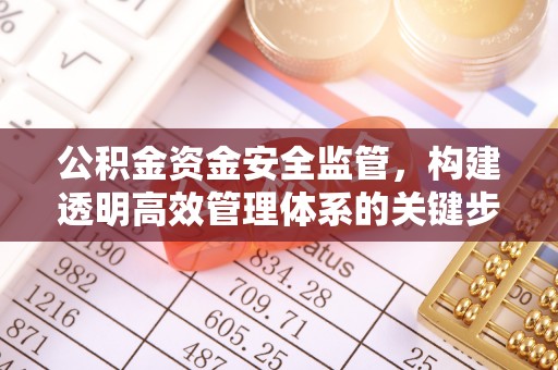 东至公积金资金安全监管，构建透明高效管理体系的关键步骤