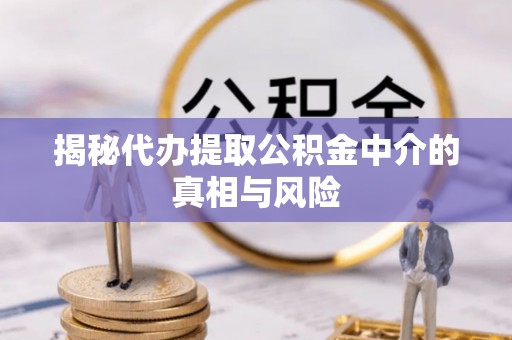 东至揭秘代办提取公积金中介的真相与风险