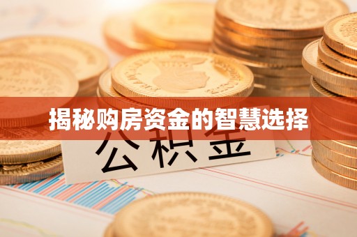 东至揭秘购房资金的智慧选择