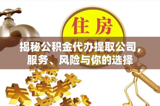 东至揭秘公积金代办提取公司，服务、风险与你的选择