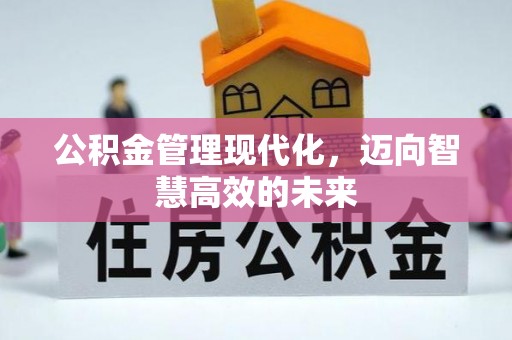 东至公积金管理现代化，迈向智慧高效的未来