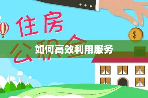 东至如何高效利用服务