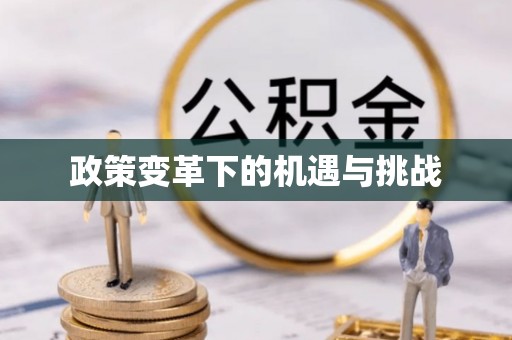 东至政策变革下的机遇与挑战