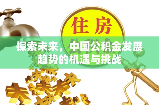 东至探索未来，中国公积金发展趋势的机遇与挑战