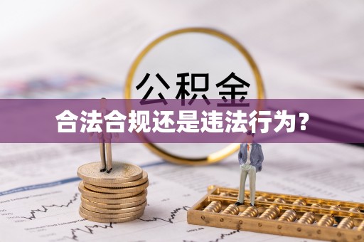东至合法合规还是违法行为？