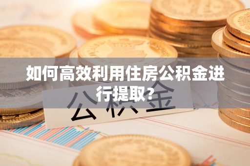 东至如何高效利用住房公积金进行提取？