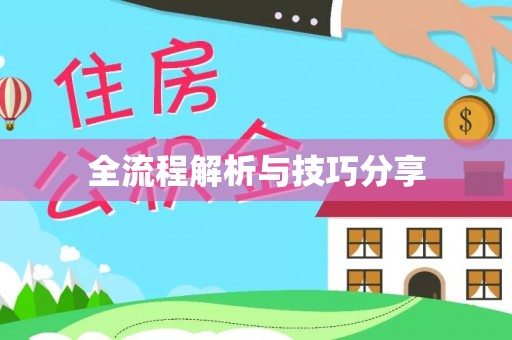 东至全流程解析与技巧分享