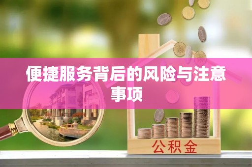 东至便捷服务背后的风险与注意事项